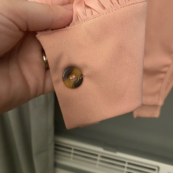 Sheer Pink Bodysuit NWOT - Picture 3 of 5